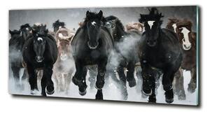 Moderní skleněný obraz z fotografie Koně ve cvalu osh-100599120