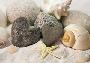 Fototapeta - Kameny a mušle na pláži (254x184 cm)
