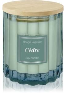 Esprit Provence Cèdre vonná svíčka s víčkem 100 g