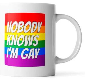 Sablio Hrnek Nobody knows I'am gay - 330 ml - standard