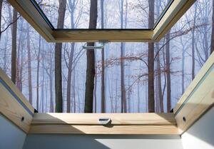 Fototapeta - Pohled z okna na mlhavé lesy (152,5x104 cm)