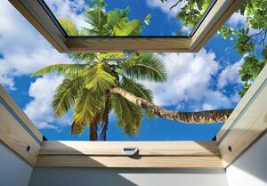 Fototapeta - Pohled z okna na palmu (152,5x104 cm)