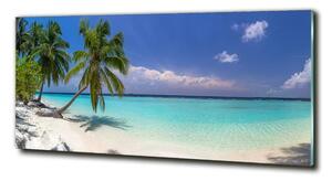 Foto-obrah sklo tvrzené Panorama pláže osh-102390473