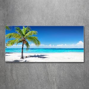 Foto obraz skleněný horizontální Tropická pláž osh-102463727