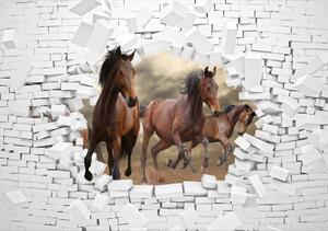 Fototapeta - 3D koně ve zdi (152,5x104 cm)