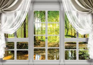 Fototapeta - Pohled na lesní okno (152,5x104 cm)