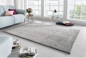 Mint Rugs - Hanse Home koberce Kusový koberec Glam 103014 Silver Šedá - 160x230 cm
