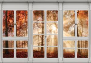 Fototapeta - Podzimní zobrazení okna - les (254x184 cm)