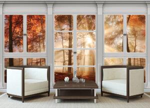 Fototapeta - Podzimní zobrazení okna - les (152,5x104 cm)