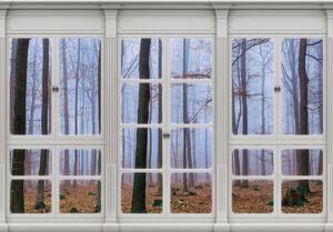 Fototapeta - Výhled z okna zahalený v mlze (254x184 cm)