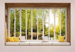 Fototapeta - Slunečný pohled na stromy z okna (152,5x104 cm)