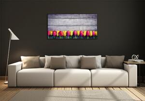 Foto obraz skleněný horizontální Tulipány na stromě osh-103218042