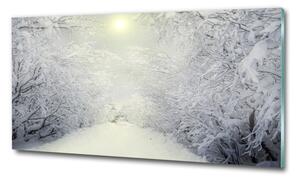 Foto obraz fotografie na skle Hezký zimní les osh-103882841