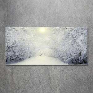 Foto obraz fotografie na skle Hezký zimní les osh-103882841