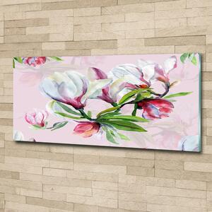 Fotoobraz skleněný na stěnu do obýváku Květiny magnolie osh-104301807