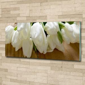 Fotoobraz na skle Bílé tulipány osh-104686883
