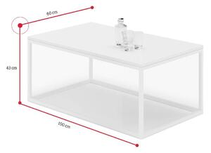 Konferenční stolek NARISA, 100x43x60, bílá