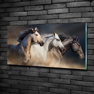 Fotoobraz na skle Koně ve cvalu osh-106659074