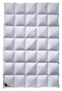 CELOROČNÍ PŘIKRÝVKA, 140/200 cm, Billerbeck - Přikrývky