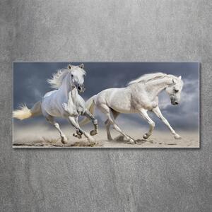 Fotoobraz skleněný na stěnu do obýváku Bílí koně pláž osh-106869148