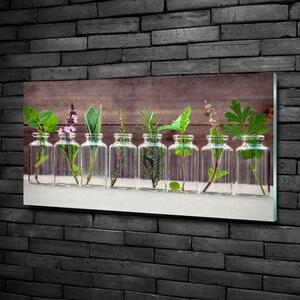 Foto obraz skleněný horizontální Rostliny ve sklenicích osh-107111601