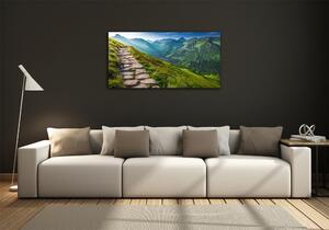 Foto obraz skleněný horizontální Stezka v Tatrách osh-108007408