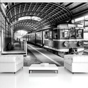 Fototapeta - Vlak na nádraží (254x184 cm)
