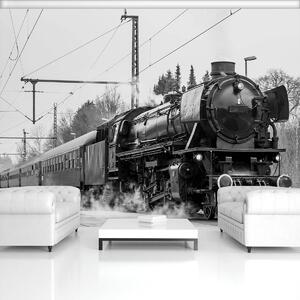 Fototapeta - Parní lokomotiva (152,5x104 cm)