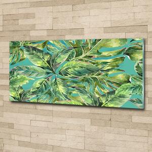 Moderní foto obraz na stěnu Tropické listí osh-108364135