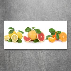 Foto obraz sklo tvrzené Citrusové ovoce osh-108945081