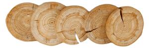 Dřevěný kroužek - plátek, oboustranně broušený, bez kůry, průměr 15-20 cm, 5 ks -