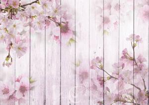 Fototapeta - Třešňové květy na prknech (152,5x104 cm)