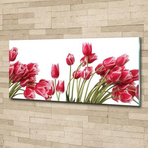 Fotoobraz na skle Červené tulipány osh-109710799