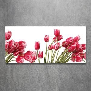 Fotoobraz na skle Červené tulipány osh-109710799