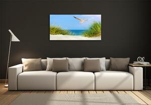Fotoobraz na skle Méva na pláži osh-109828063