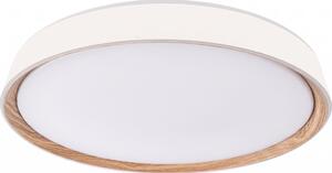 LED Stm stropní svítidlo ILVI LED/45W/230V 2700-6500K pr. 50 cm bílá/béžová+DO