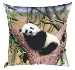 DADKA Fotopolštářek Panda 40x40 cm