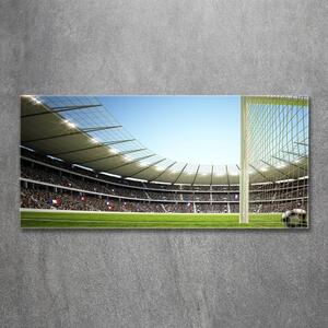 Foto-obrah sklo tvrzené Stadion Francie osh-111693284
