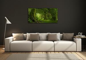Fotoobraz na skle Tropická džungle osh-112054688