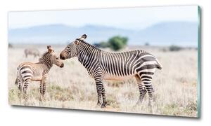 Foto obraz sklo tvrzené Zebry v horách osh-112483528