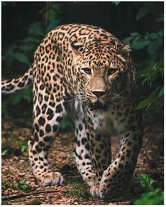 Jerry Fabrics Mikroflanelová dětská deka Leopard green 120x150 cm