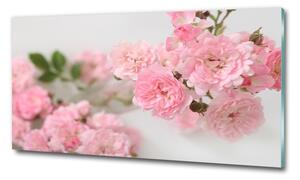 Moderní skleněný obraz z fotografie Divoké růže osh-113333755