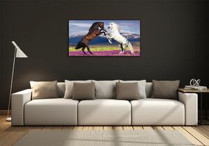Foto obraz sklo tvrzené Koně hory osh-113344185