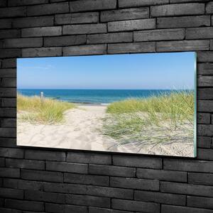 Fotoobraz skleněný na stěnu do obýváku Mořské duny osh-113707111