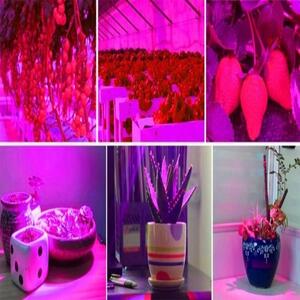 LED Lampička pro pěstování rostlin s klipem 200 LED 9.5 W ML16348
