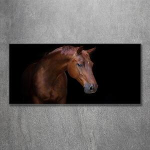 Foto-obrah sklo tvrzené Hnědý kůň osh-114030424