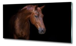 Foto-obrah sklo tvrzené Hnědý kůň osh-114030424