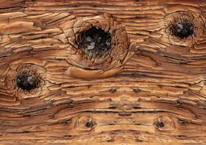 Fototapeta - Detail dřevo (152,5x104 cm)