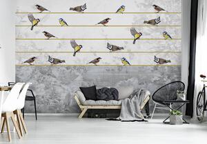 Fototapeta - Ptáci na zlatém provázku (152,5x104 cm)