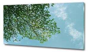 Fotoobraz na skle Listí na obloze osh-116183782